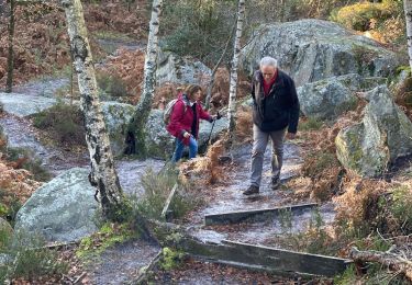 Tocht Stappen Fontainebleau - Barbize  - Photo