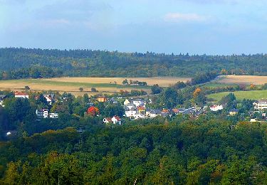 Tocht Te voet Bad Schwalbach - Schwälbchen's Flug - Photo