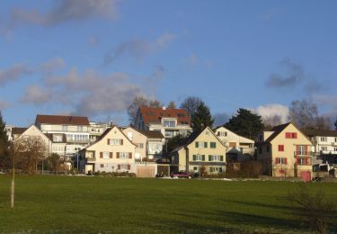 Excursión A pie Wetzikon (ZH) - Oberwetzikon - Pfäffikon - Photo