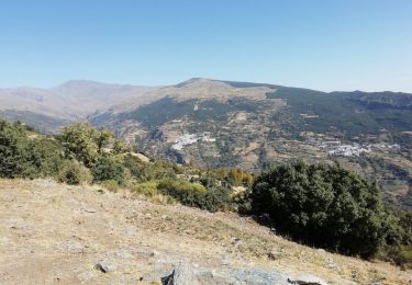 Trail Walking Soportújar - O celin  - Photo