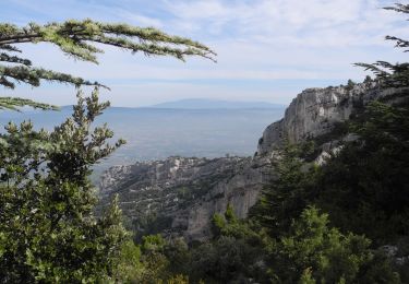 Percorso Marcia Oppède - PF-Oppède - Le Vallon de Combrès - Le Sautadou du Bausset - Photo