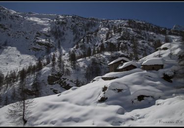 Trail On foot Ceresole Reale - IT-520 - Photo