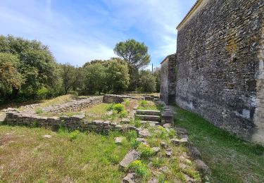 Tocht Stappen Aubais - Moulin_Carrieres_Aigues_Vives - Photo