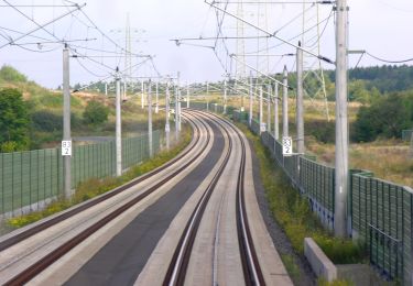 Randonnée A pied Hundsdorf - Rundweg Ransbach-Baumbach - Photo