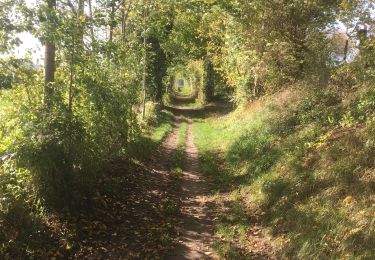 Tour Wandern Aubel - VAL DIEU - Photo