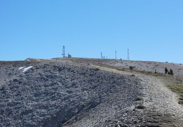 Randonnée Marche Saint-Étienne-les-Orgues - Lure - Photo