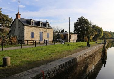 Trail On foot Betton - Circuit de Pluvignon - Photo