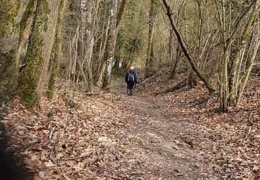 Tour Wandern Naveil - Mondétour - Photo