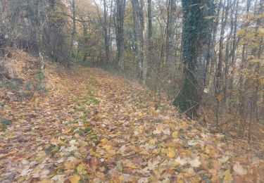 Randonnée Marche Liederschiedt - Le Sentier des Roches à Liederschiedt - Photo