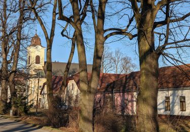 Excursión A pie okres Liptovský Mikuláš - Náučný chodník k minerálnemu prameňu - Photo