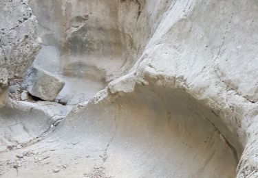 Randonnée Marche Évenos - Ollioules - Gorges du Destel - Photo