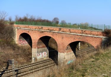 Tocht Te voet Gemeinde Guntramsdorf - Playfit Runde (Guntramsdorf) - Photo