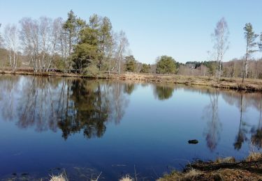 Trail Walking Peyrelevade - Fred les Fontaines de Cezeyrat  - Photo