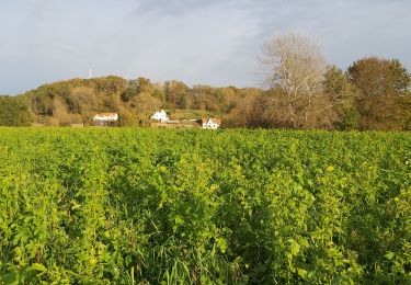 Randonnée Marche nordique Chaumont-Gistoux - dion bercuyt pisselet - Photo