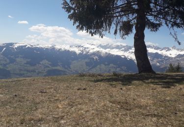 Randonnée Marche Passy - les chalets de Varan par le Perthuis - Photo