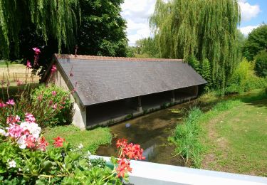 Trail Walking Cangey - Cangey - PR Entre Vignes et Forêts - 10km 115m 2h15 - 2023 07 05 - Photo