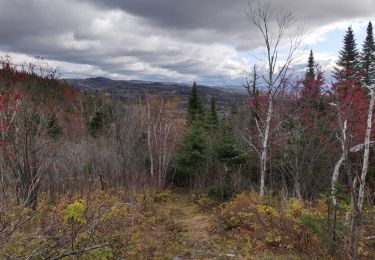 Randonnée Marche Lac-Matapédia - Les crêtes  - Photo