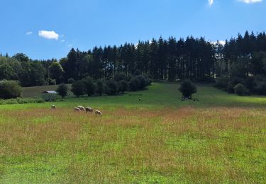 Randonnée Marche Nassogne - Marche ADEPS Nassogne - Photo