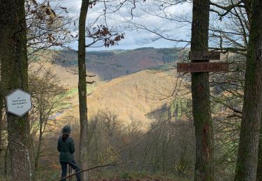 Trail Walking Bouillon - Corbion - pont de l’Epinet - Photo