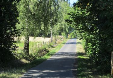 Randonnée A pied Baunatal - Eco Pfad Großenritte - Photo