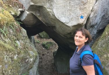 Tour Wandern Avon - Fontainebleau Rochers d’Avon - Photo