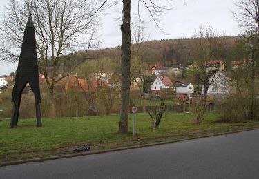 Excursión A pie Schöllkrippener Forst - Schwarzer Fuchs, Rundwanderweg Sommerkahl - Photo