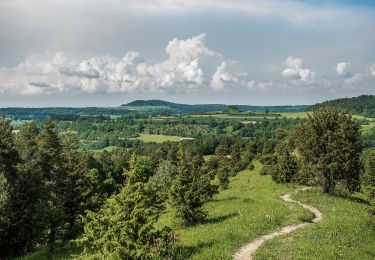 Trail On foot Bad Staffelstein - Terrainkurweg 6 Bad Staffelstein - Photo