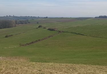 Tour Wandern Rott - Cherbourg Roth Oberhoffen - Photo