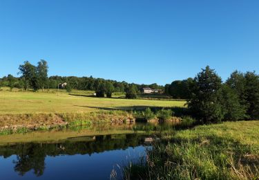 Tour Wandern Mazet-Saint-Voy - Baignade du moulin de Boyer - Photo