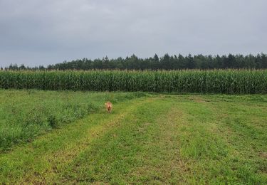 Trail Walking Libin - pluie  - Photo