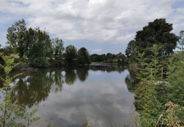 Excursión Senderismo Apremont - Les 3 Châteaux d'Apremont - Photo