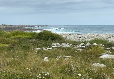 Percorso Marcia Trébeurden - Île grande  - Photo