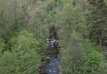 Trail Walking Tiranges - Château de Chalancon par le Pont du Diable - Photo