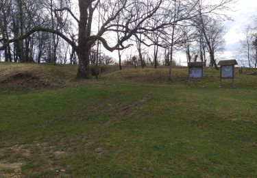 Randonnée Marche Beure - Beure de la pisseur au mercureau  - Photo