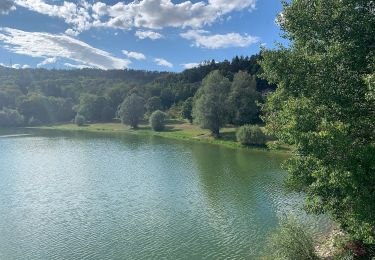 Tocht Te voet Matafelon-Granges - Les 2 Vallées - Photo