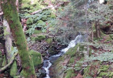 Tocht Stappen Mittlach - Chapelle du Kolben - Rainkopf - Rothenbakopf - Photo