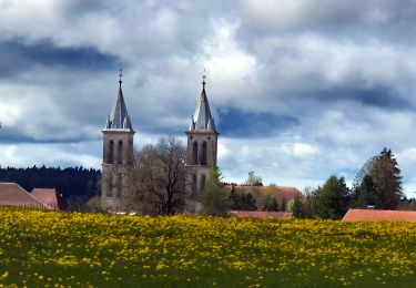 Tour Wandern Boujailles - Boujailles 2024 - Photo