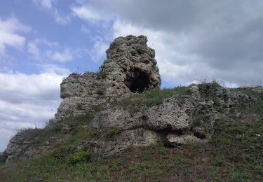 Randonnée A pied Chrzanów - Zielone perły Trzebini - Photo