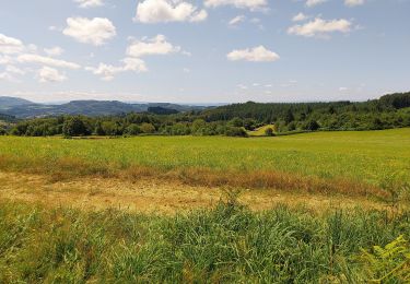 Tour Wandern Saint-Rémy-sur-Durolle - saint remy 11km - Photo