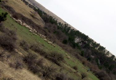 Trail On foot Isztimér - P+ (Burok-völgy - Vár-berek - Vár-völgy) - Photo