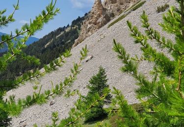 Tour Wandern Ceillac - ceillac col fromage - Photo