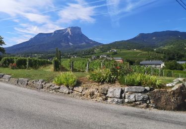 Trail Walking Apremont - 20190816 - Bélisay (Myans) - Photo