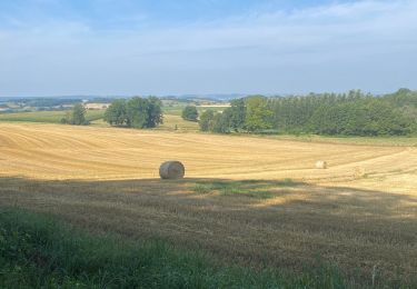 Trail Walking Mogues - 2022-07-22: ORVAL - Photo