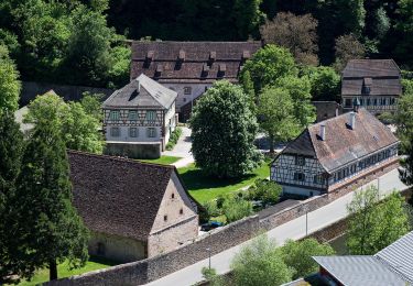 Tocht Te voet Wildberg - AugenBlick-Runde Wildberg - Photo