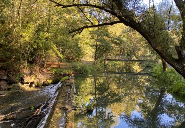 Tour Wandern Bleiberg - Moresnet 29,5 km - Photo