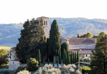 Percorso A piedi Gaiole in Chianti - Trekking tra i castelli 11 - Photo