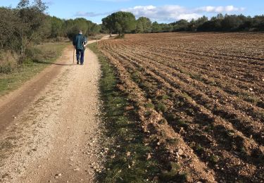 Excursión Senderismo Nîmes - Clos Gaillard - Photo