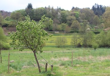 Randonnée A pied Göllheim - Adolf von Nassau Wanderweg - Photo