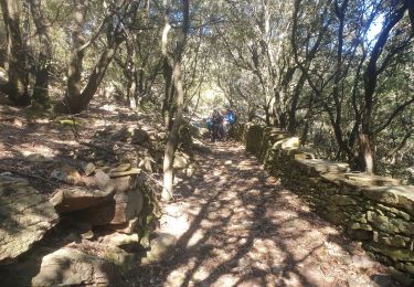 Tour Wandern Saint-Gervais-sur-Mare - st gervais sur mare. serre de more - Photo