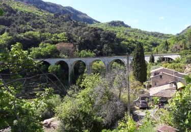 Tocht Te voet Saint-Jeannet - Circuit du Castellet - Photo